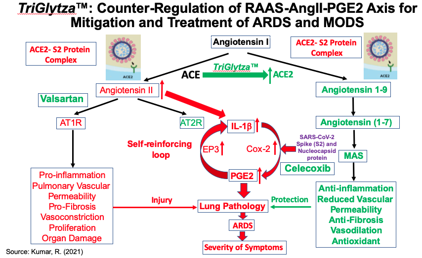 TriGlytza Counter-regulation of RAAS-AngII-PGE2